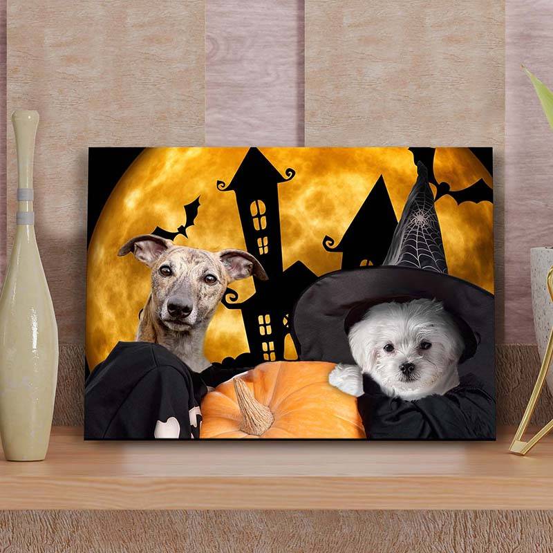 Creative Pet Portraits Halloween Gidt ideas