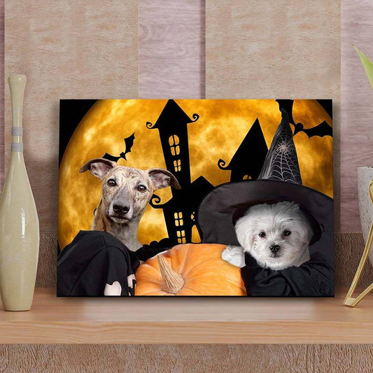 Creative Pet Portraits Halloween Gidt ideas