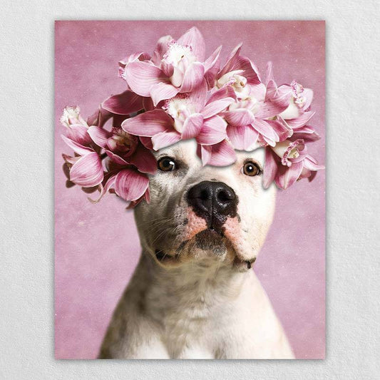 Unique Pet Portrait Custom Dog Cat Gifts
