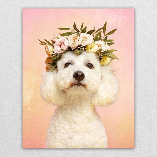 Funny Pet Portraits Colorful Canvas Art
