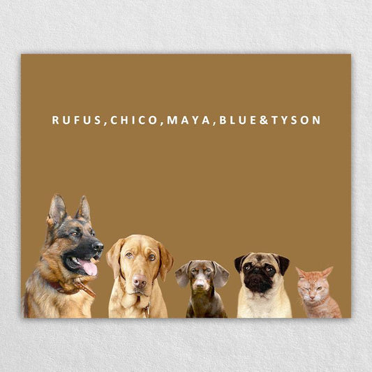 Pet Family Portraits Multiple Dog Portraits