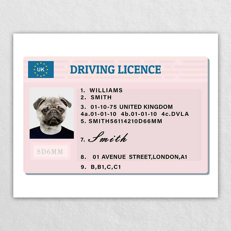 Funny Pet Tags Pet Driven Lisence