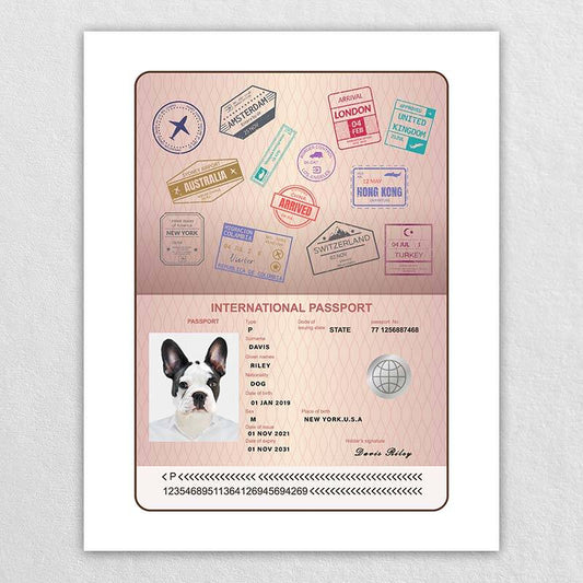 Pet Passport  Funny Pet Id Tags