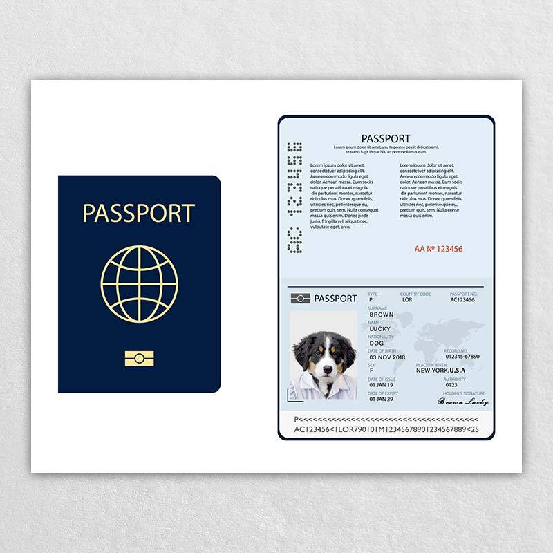 Passport For Pet Dog Id Card