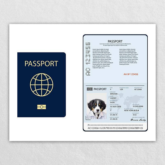 Passport For Pet Dog Id Card