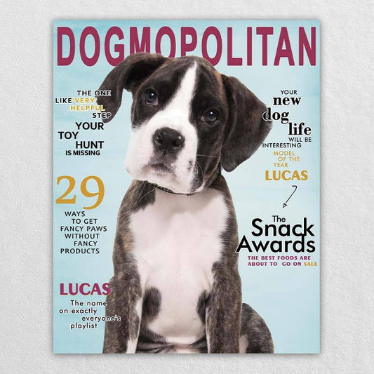 Pet Magazine Fest Famous Dog Portraits