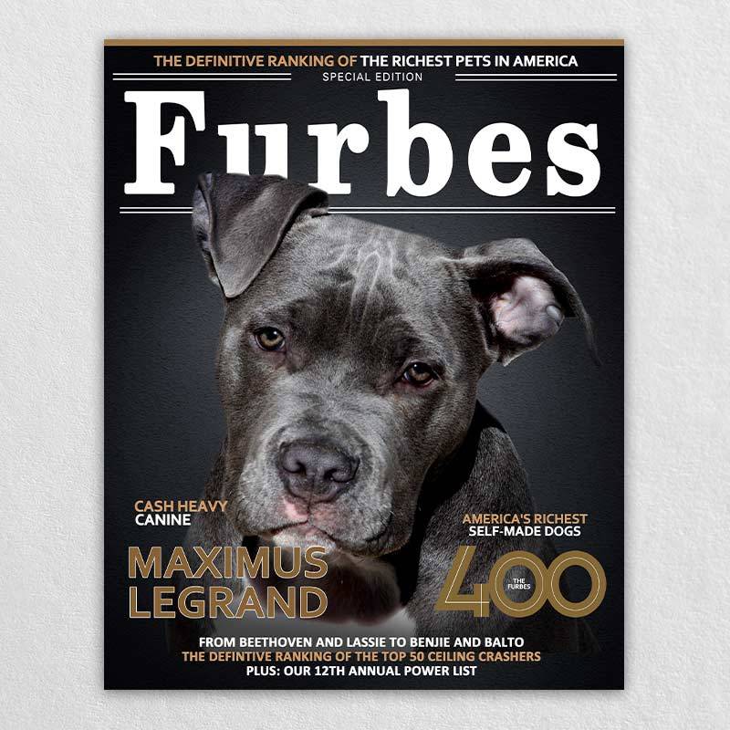 Furbes Animal Cat Dog Portrait Wall Art