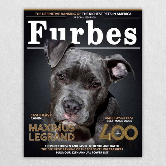 Furbes Animal Cat Dog Portrait Wall Art