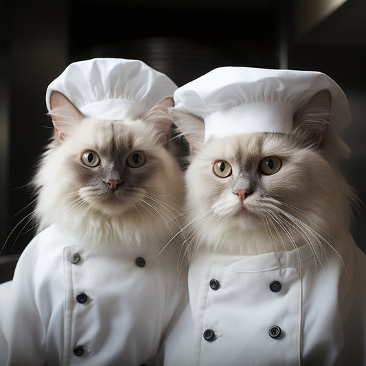 Kitchen Wall Art And Decor Real Cat Photo