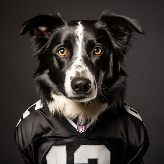 Art Of Football Newcastle Canvas Dog Pictures