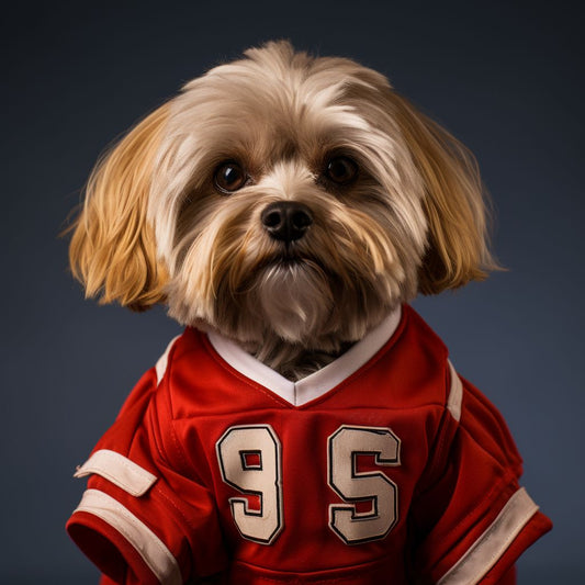 Canvas Football Art Large Dog Canvas Art