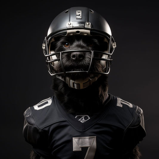 Hot Football Players Pet Photo Studio