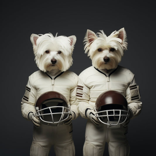 American Football Photoshoot Art Drawing Dog Portrait