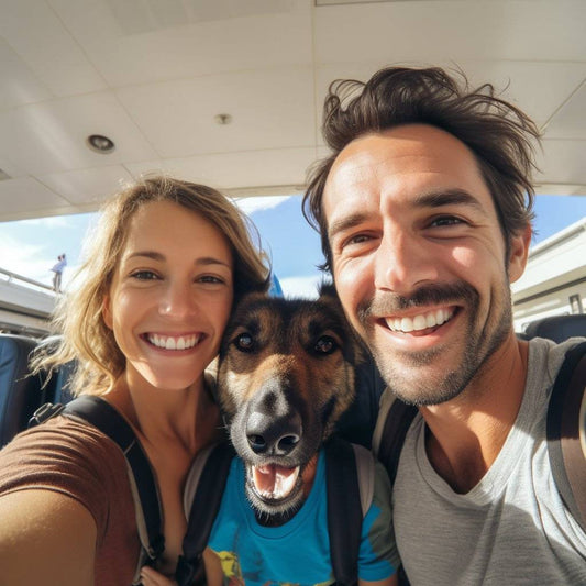 Aristocratic Harmony: Dog Simple Duo